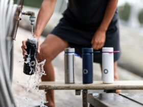 Üzemanyag edzés előtt és után – a tökéletes teljesítményért és fejlődésért