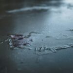 Wim Hof módszer