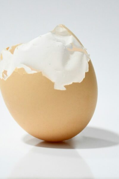 Komplett fehérjék és a legjobb fehérjeforrások