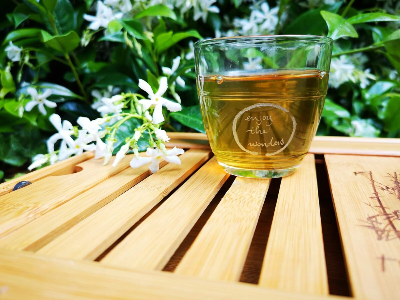 Zöld tea – a természetes lendület titka